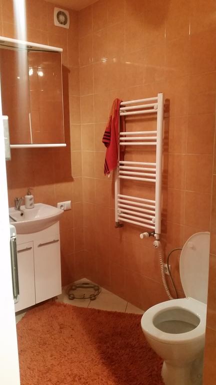 Apartments Near Old Town With Private Parking Kaunas Buitenkant foto